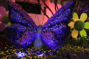 Lovely butterfly topiary.